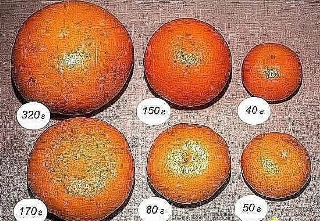 Сколько надо мандаринов. Апельсин грамм. Вес среднего апельсина. 100 Грамм мандарина. 100 Грамм апельсина.
