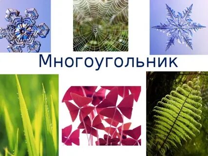 Правильные многоугольники в жизни