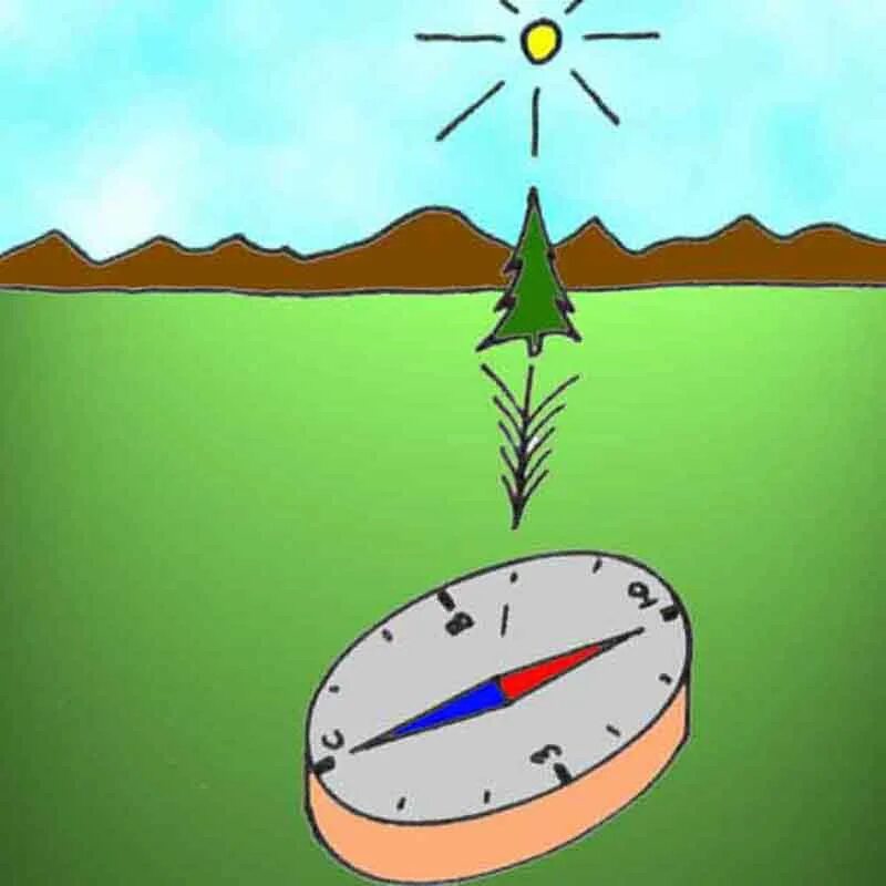 Строить определить время. Как научиться определять время. Строить определить время. Определение времени по часам. Изучение часов для детей.
