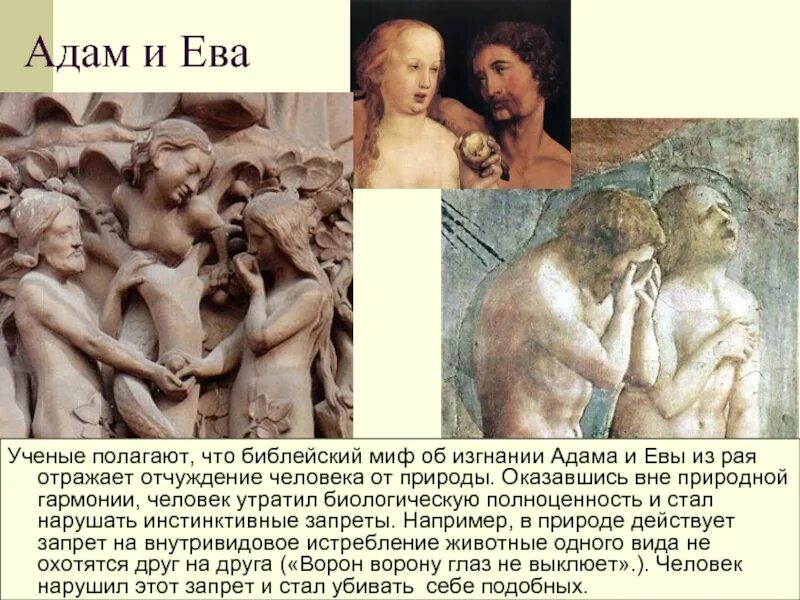 Как звали сыновей евы