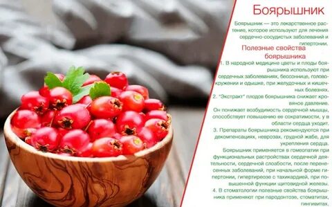 Плоды боярышника противопоказания