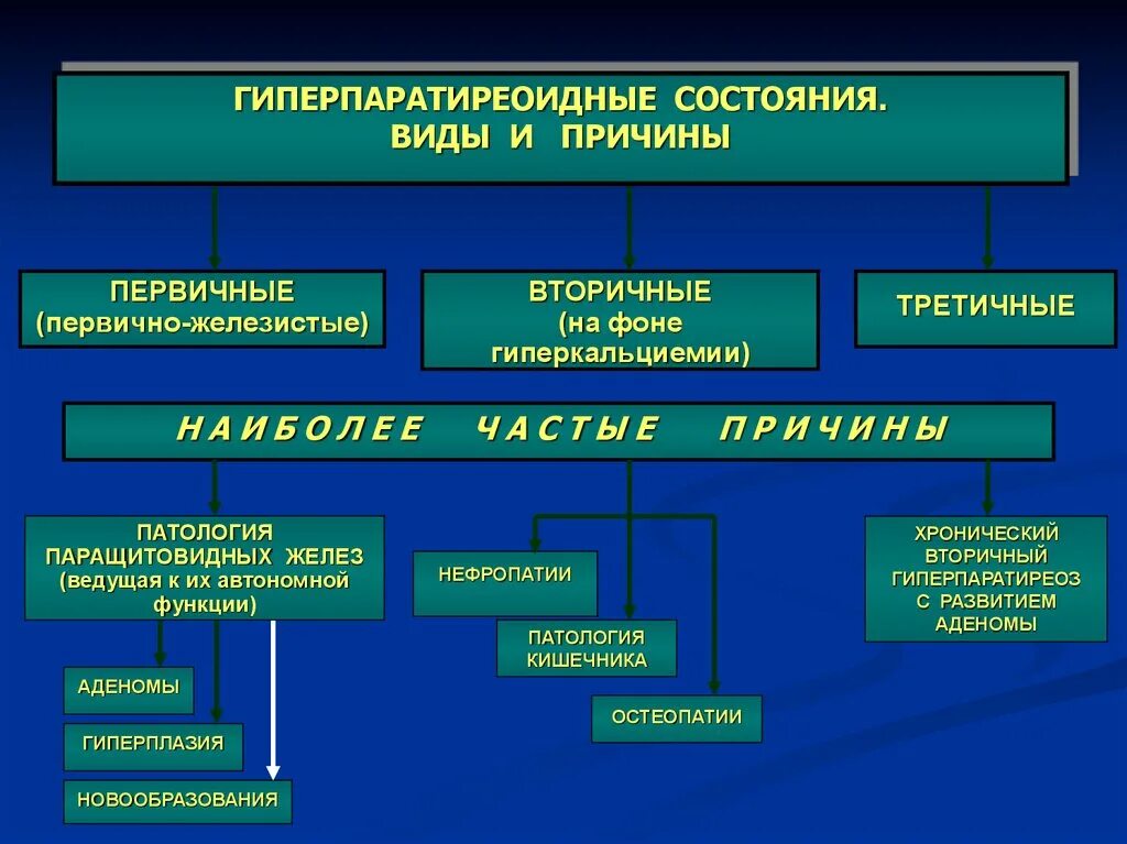 Гиперпаратиреоз первичный вторичный третичный. Гиперпаратиреоз патогенез патофизиология. Третичный гиперпаратиреоз патогенез. Тиазидные диуретики гиперпаратиреоз.