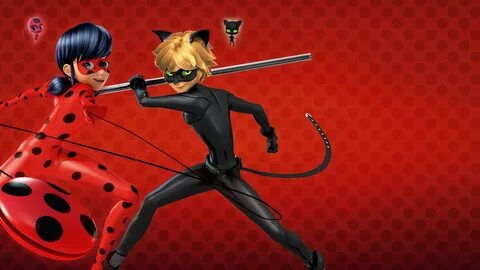 Lady bag and the cat noir