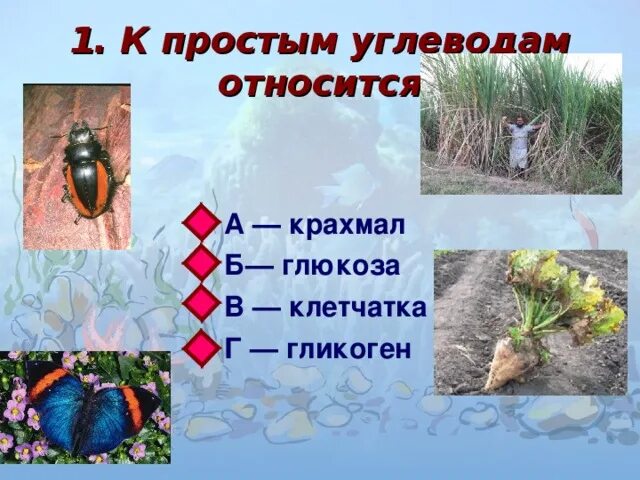 К углеводам относятся тест. К простым углеводам относится крахмал. к простым углеводам относятся глюкоза крахмал гликоген. к простым углеводам относится крахмал глюкоза клетчатка. к простым углеводам относится крахмал глюкоза клетчатка гликоген.