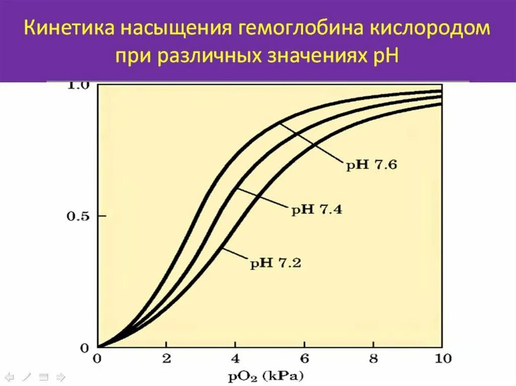 Насыщенные легких кислородом. График насыщения гемоглобина кислородом. Кривач насыщенная гемоглабином кислородом. Кривая насыщения гемоглобина. Кривые насыщения гемоглобина кислородом.