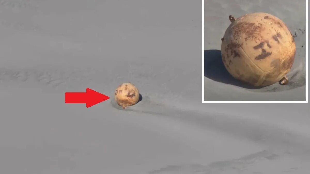 В Японии нашли шар. Странные шары нашли. На берегу Японии нашли неизвестный шар. В Японии на берег выбросило шар.