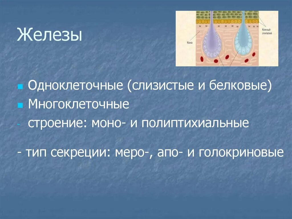 Стр моно. Стр моно