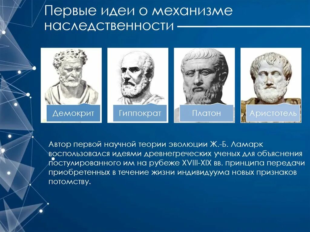 Эволюционные идеи ученых. Гиппократ Платон Аристотель. Эволюционное учение Аристотеля. Аристотель эволюционные идеи. Идея эволюции.