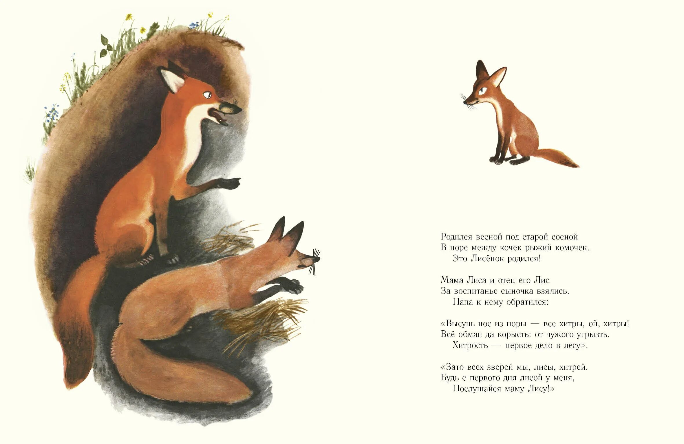 Стихи сказка взрослые. Стих про лисичку для детей. Стихотворение про Лисенка.