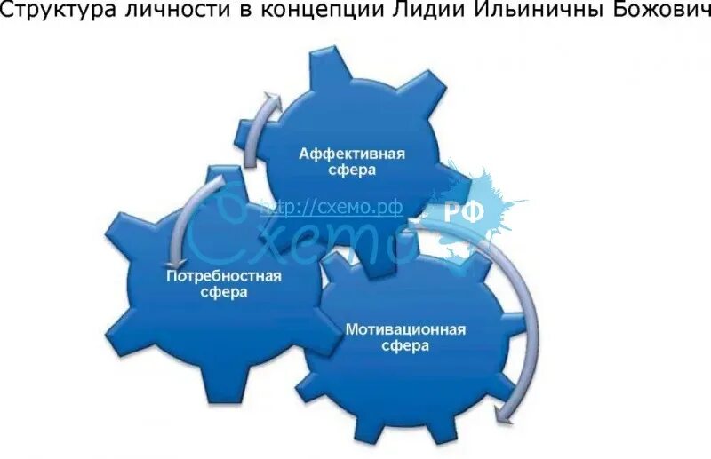 Формирования личности в онтогенезе божович. Теория развития личности божович. концепция развития личности л. и. божович. структура личности божович. теория формирования личности в онтогенезе л.и. божович.