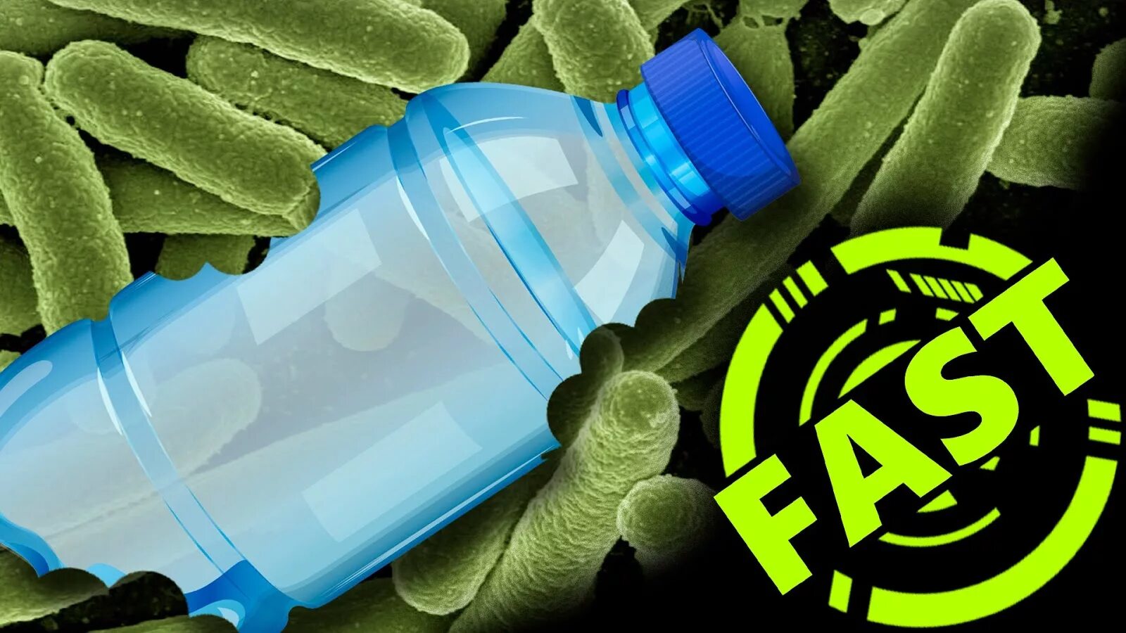 Перерабатывающие бактерии. Бактерия Ideonella sakaiensis. Бактерии поедающие пластик. Бактерии перерабатывают пластик. Микроорганизмы разлагают пластик.