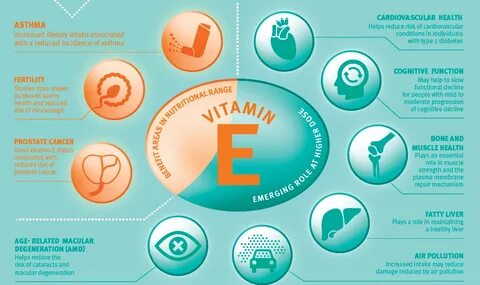 Vitamin E Sources for Vegetarians, Why Vitamin E is important Going Vegetar...