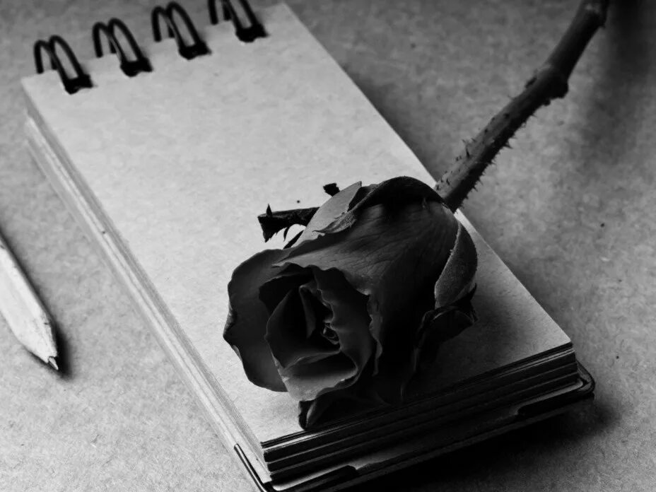 пишу стихи картинка со смыслом. перо и бумага. фон перо и чернила. поэзия картинки. поэзия.