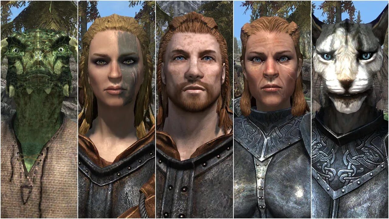 Скайрим total character Makeover. Скайрим мод Wico. Скайрим внешность. Skyrim внешность. Мод на внешний вид