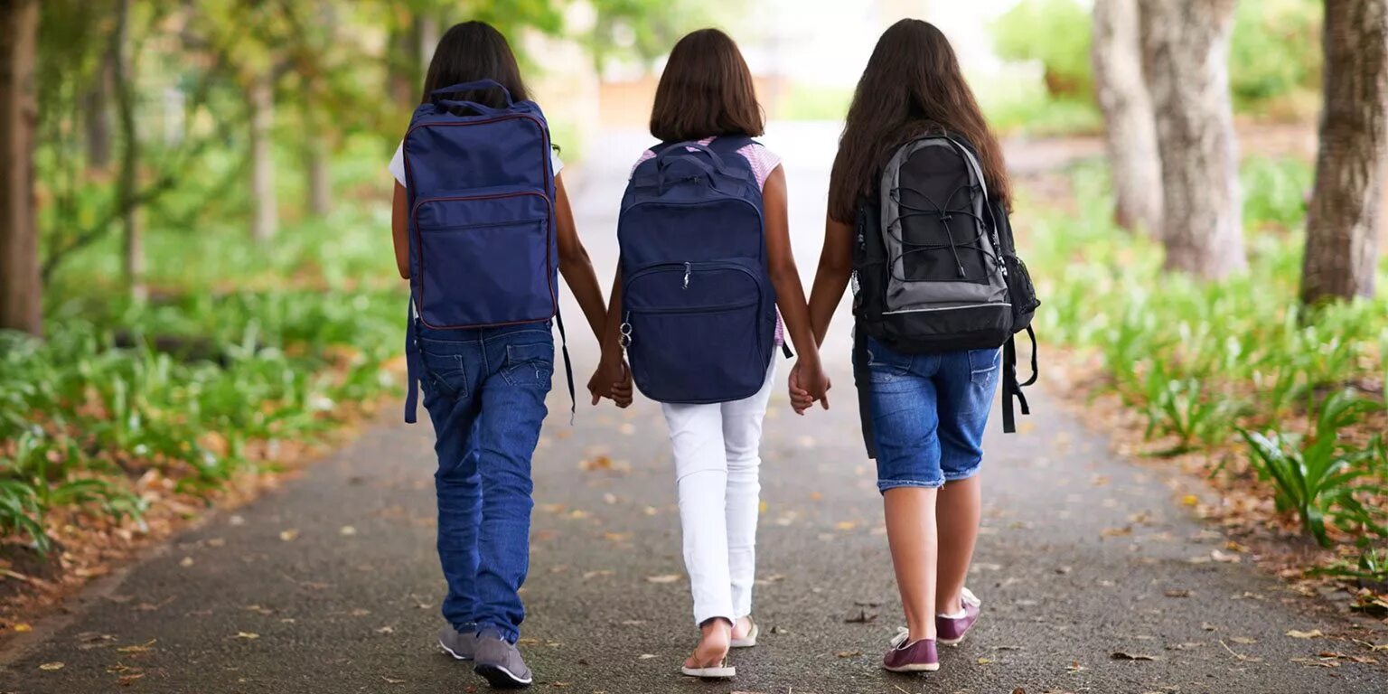 She has gone to school. Walking to School или at the. Walk to School. Kids walk to School. Картинка walk to School.