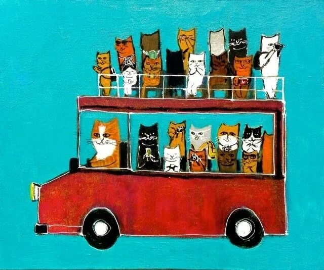 Кошка едет в автобусе. Кот автобус. коты в автобусе. картина котики в автобусе. котята едут в автобусе.