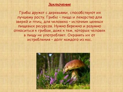 Дополни текст многие грибы дружат с деревьями
