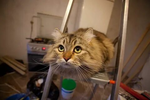 Мешаю делать