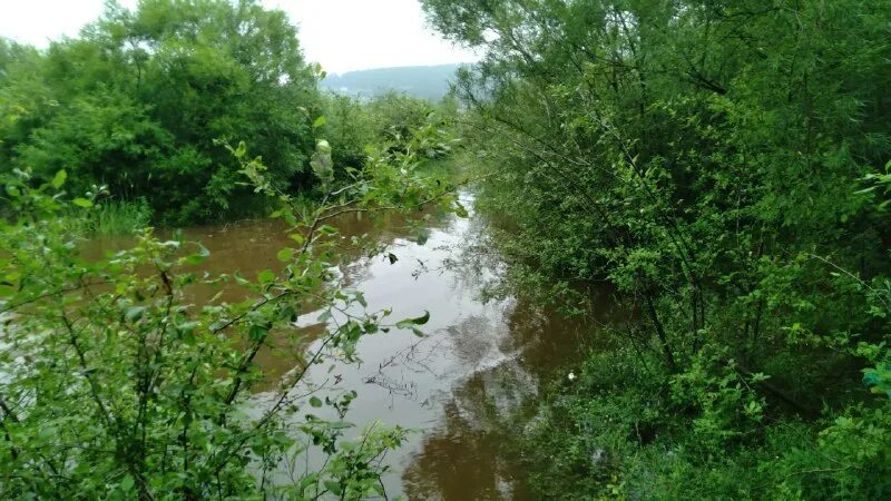 русло реки пойма речная долина. 04. уровень воды в селенге улан удэ. части речной долины. река читинка в чите.