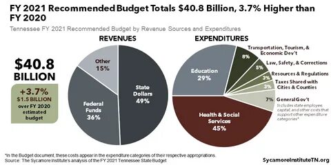 Budget support