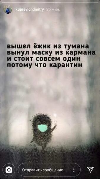 Вышел ежик из тумана содержание. Вышел ежик из тумана содержание