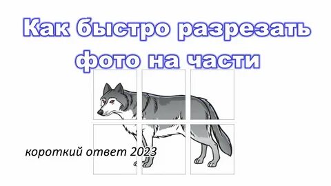 Орыс жас волосатые аналар порно