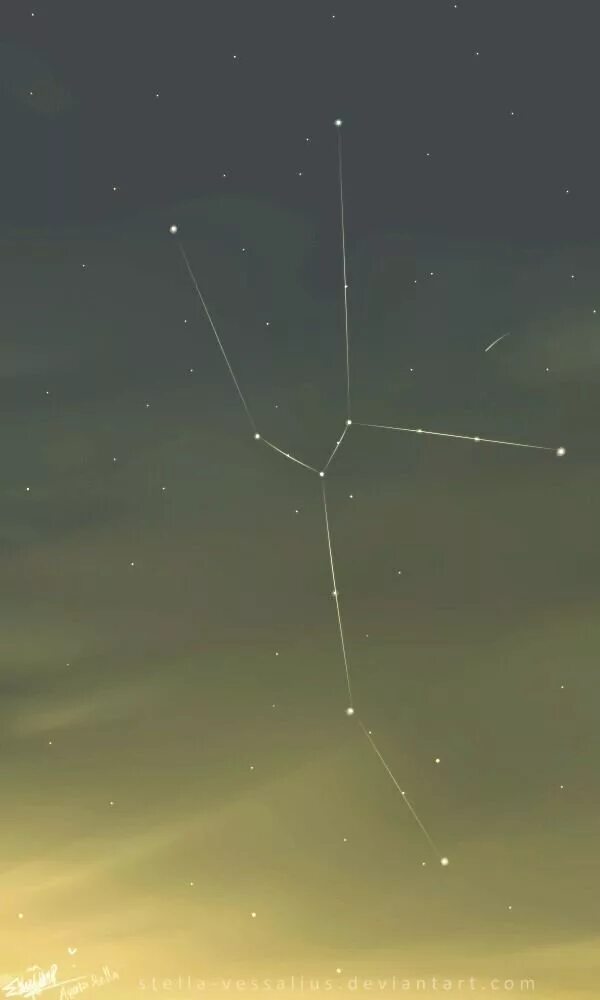 Созвездие 54. Taurus Constellation. Taurus Созвездие. Таурус Созвездие тельца. Созвездие тельца и большой медведицы.