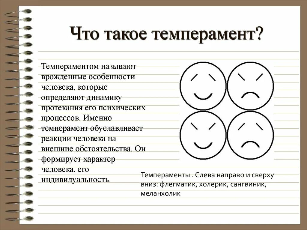 Холериком называют