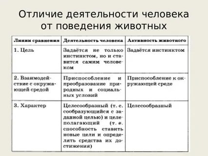 Активность и деятельность различие