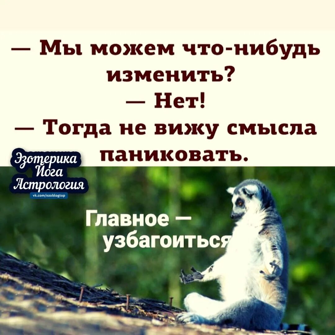 Что нибудь изменилось. Мы можем что то изменить нет тогда не вижу смысла паниковать. Мы можем что-нибудь изменить картинки. Мы можем что то изменить. Мы можем что-нибудь изменить нет тогда нет смысла паниковать картинка.