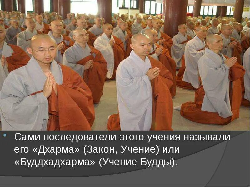 Строгий последователь учения 8 букв