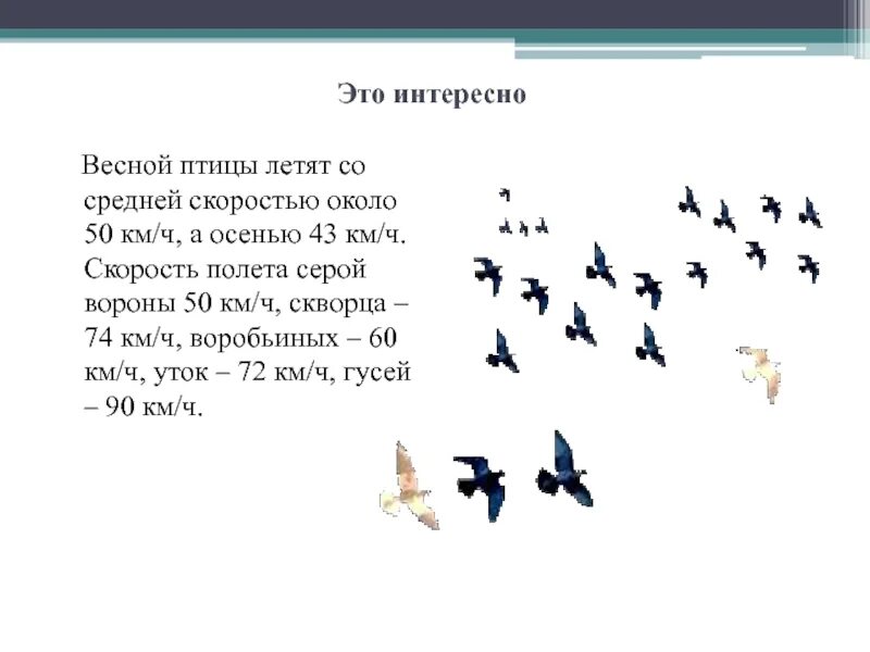 Птице высота песня. Скорость полёта птиц таблица. Средняя скорость полета птицы. Скорость перелета птиц. Средняя скорость утки.