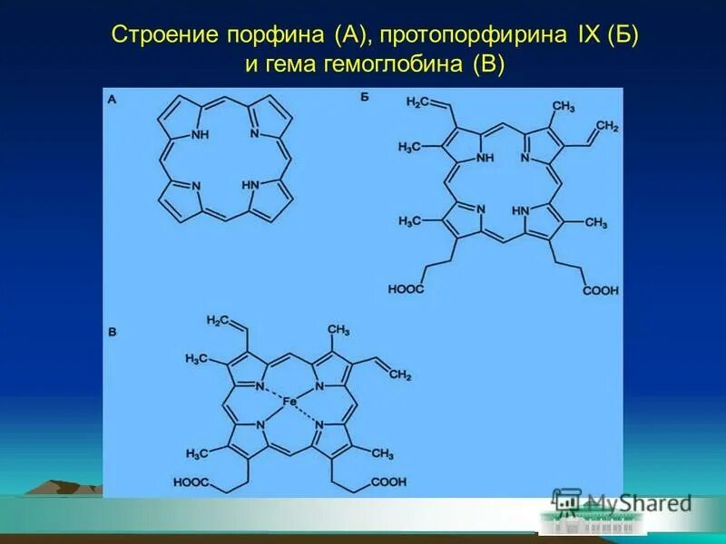 Гем протопорфирин IX. Структура кофермента гем протопорфирин 9. Строение протопорфирина IX. Строение гема (протопорфирин IX).