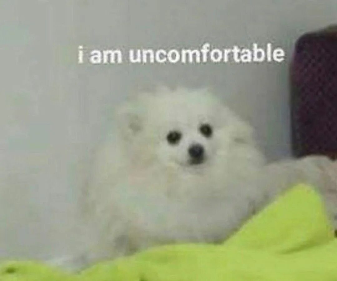 Uncomfortable Мем. I feel uncomfortable. Мне некомфортно собака. Uncomfortable Dog.