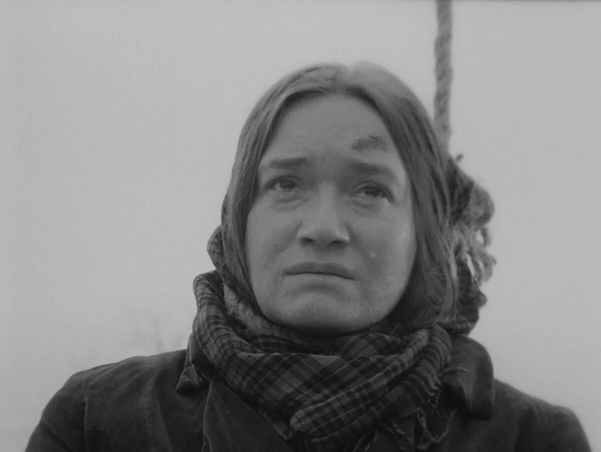 Шуягина алиса эдуардовна. ܐܬܘܪ̈ܝܐ. Миф о геракле скотный двор царя авгия. Авгин. Авгин.