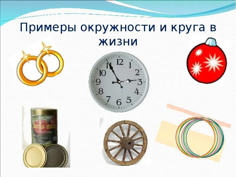 Что имеет форму круга. Примеры окружности. Примеры окружности в жизни. Примеры круга. Круг и окружность в жизни.