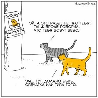 They can talk