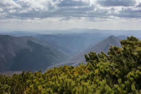Горы сихотэ алинь эпоха