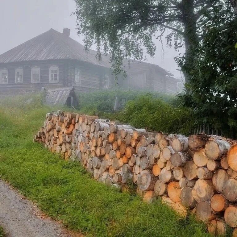 Село вк. Деревня ВК. Бушуята деревня. Деревня Семеново Пудожский район фото.