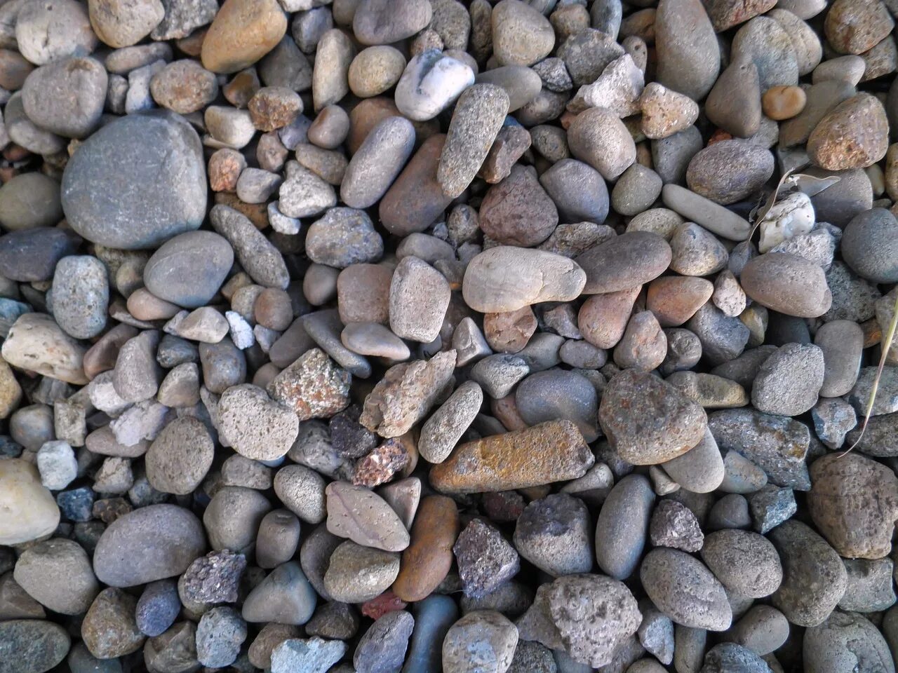 Камешки на земле. Камушки в грунте. Камешки для грунта. Грунт с камнями.