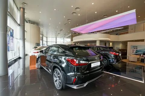 Автосалон лексус