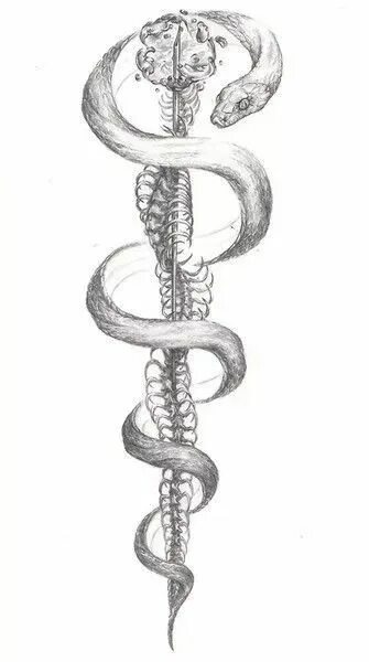 Посох Асклепия змееуста. Посох Асклепия символ медицины. Посох змея. Эскизы тату змеи. Сон змея обвивает