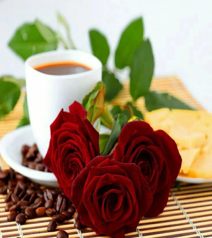 Доброе утро любимая розы. С добрым утром розы. Букет с добрым утром девушке. Утренние цветы для любимой. Букет доброе утро любимая.