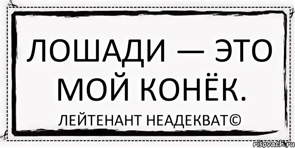 Не мой конек