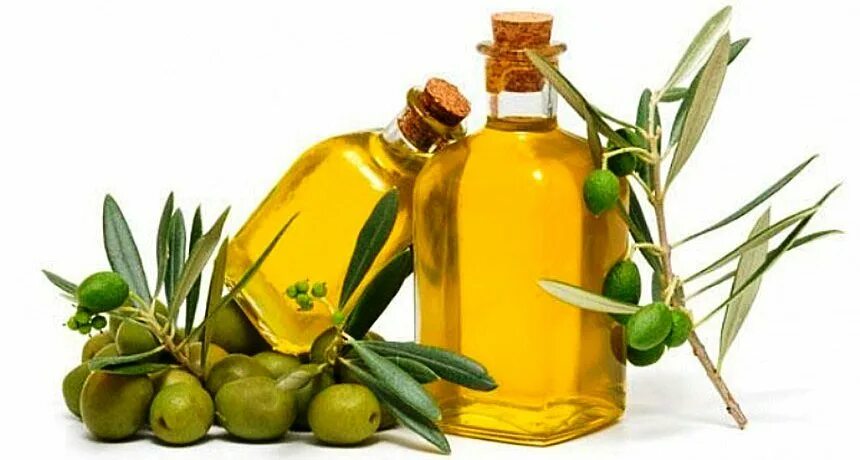 Оливковое масло. Масло оливы. Оливки и оливковое масло. Оливковое масло в медицине.