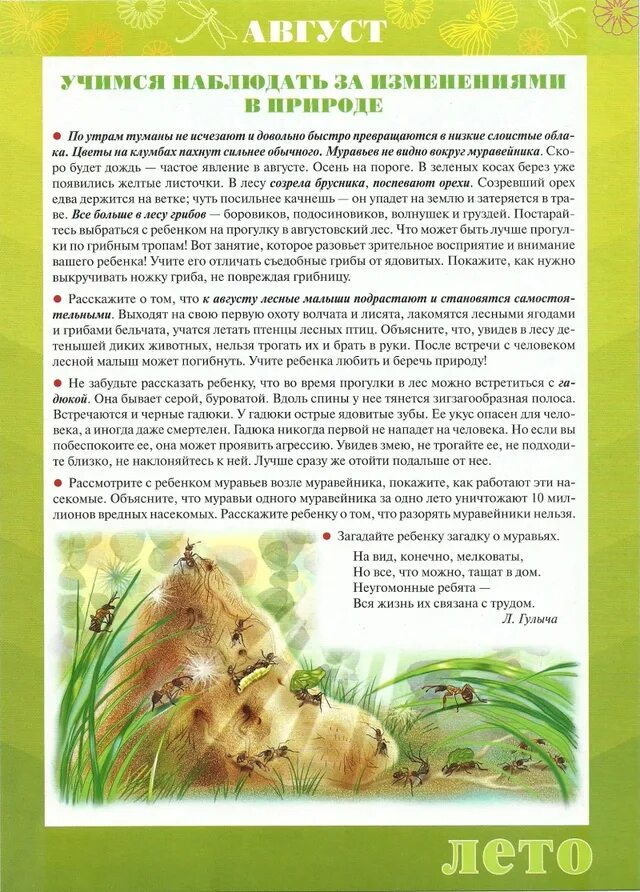 Наблюдение в средней группе август. Август родительский уголок в детском саду. Наблюдения осенью в средней группе. Наблюдение в средней группе август. Лето уголок для родителей июль.