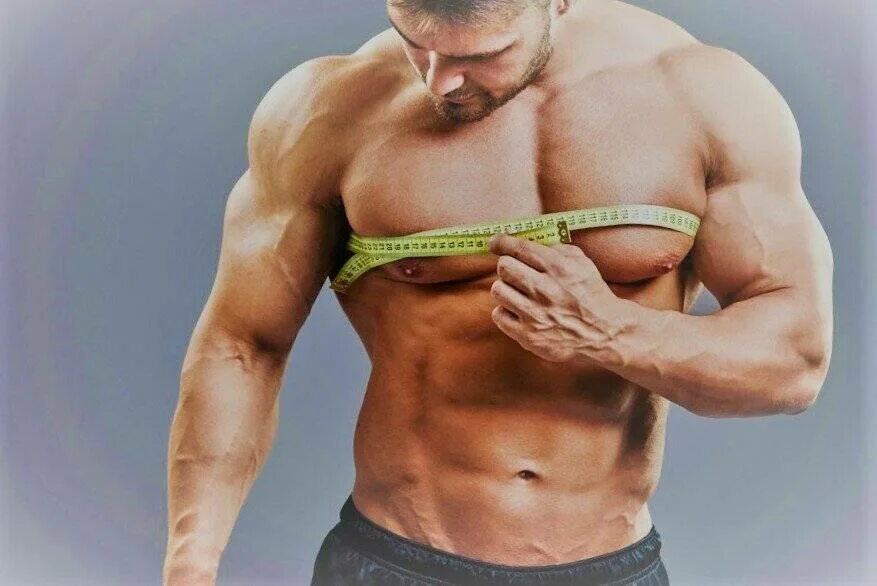 Кбжу для набора мышечной массы. Экто эндоморф. Как растут мышцы. Укрепляются мышцы. Мышца увеличивается за счет процесса.