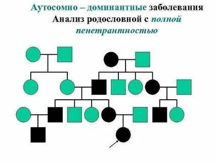 Аутосомно доминантная поликистозная болезнь