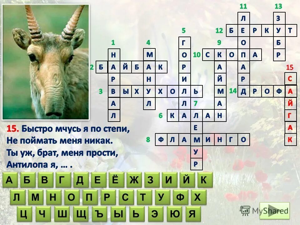 Кроссворд на татарском. Кроссворд на татарском языке. Кроссворд по татарскому. Ингушский кроссворд. Кроссворды для детей на татарском языке.