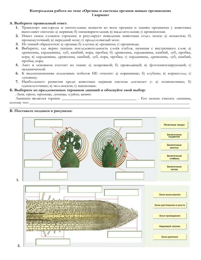 Контрольная по биологии номер 1. Системы органов живых организмов. Проверочная работа по органы и системы органов. Контрольной работе по теме"живой организм". Органы живых организмов биология 5.